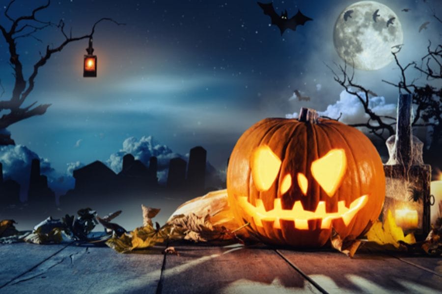 ‘The Wind in the Trees’ – a Halloween poem by one of the gentlemen we support