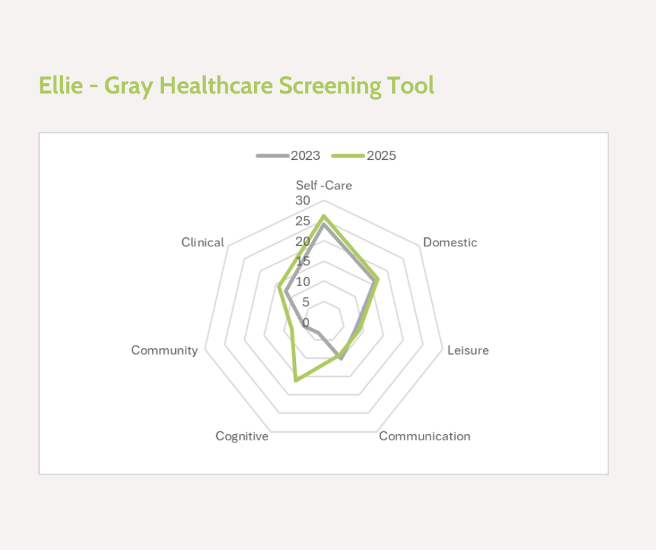 Radar graph showing the progress of a person we support against seven criteria